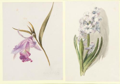 MARÍA LUISA DE LA RIVA Y CALLOL DE MUÑOZ - Flores