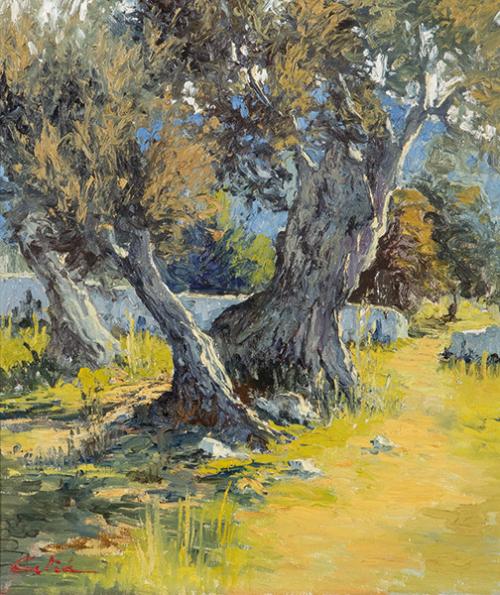 BERNARDINO CELIÁ COLÓM - Olivos