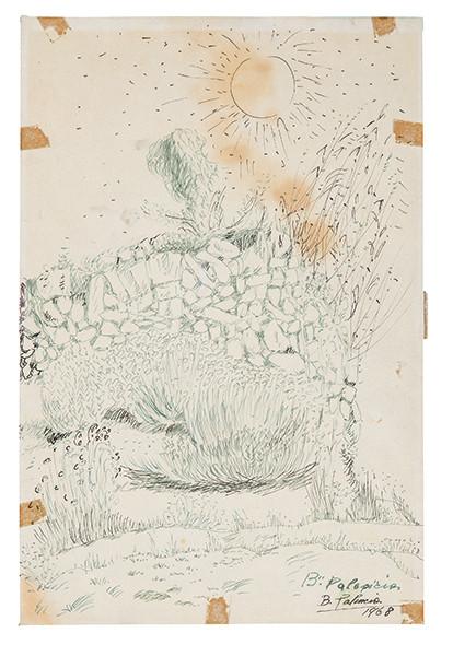 BENJAMÍN PALENCIA - Peñas de Villafranca