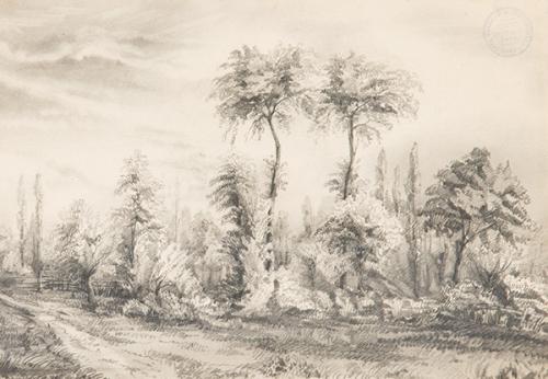 FRANCISCO PRADILLA - Arboleda