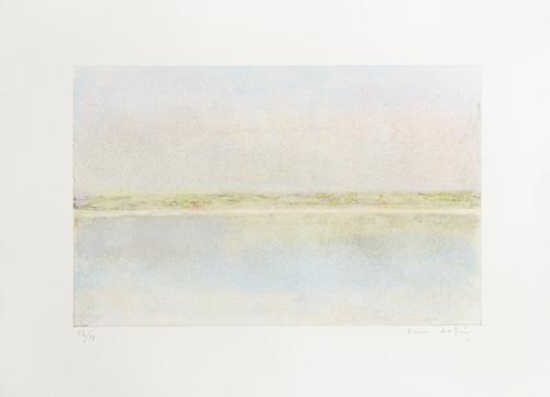 CARMEN LAFFÓN - Visión de un Paisaje