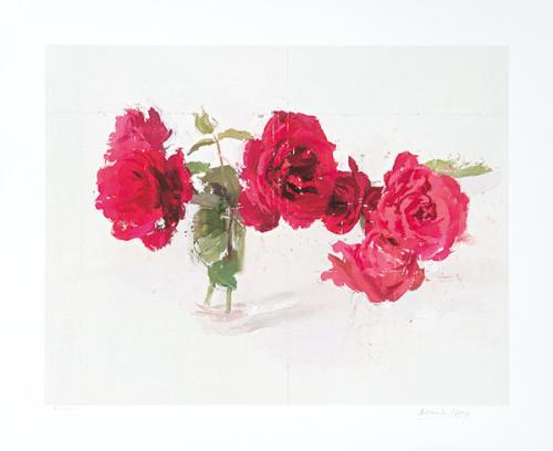  ANTONIO LÓPEZ - Rosas Rojas