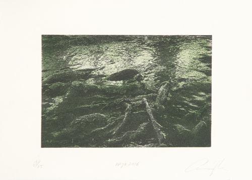  CRISTINA IGLESIAS - Mayo 2016