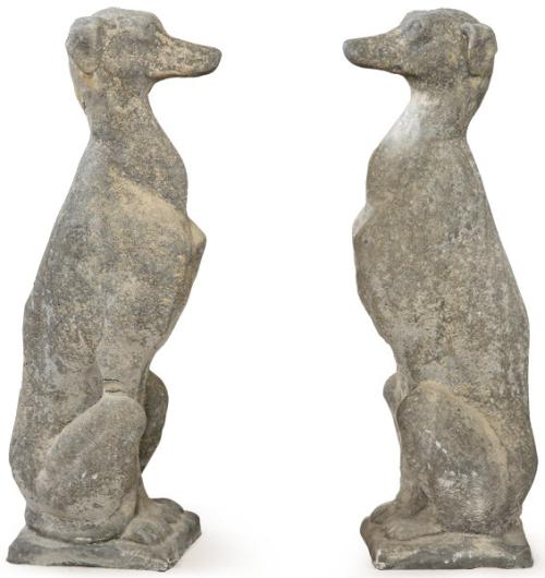 Pareja de galgos pequeños arenisca