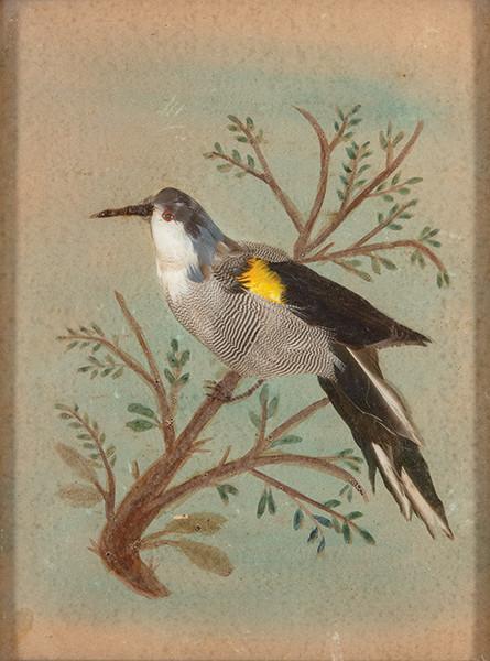  ESCUELA ESPAÑOLA PPS. S. XIX - Pájaro exótico