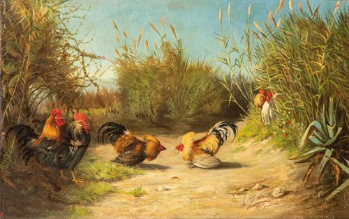 HORACIO LENGO - Gallinas