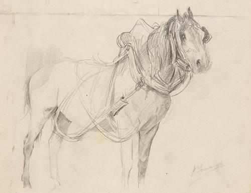 ÁNGEL LIZCANO MONEDERO - Caballo