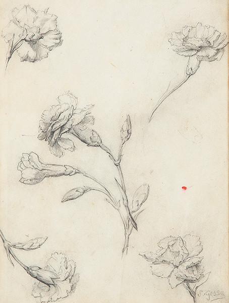 SEBASTIAN GESSA - Estudio de claveles