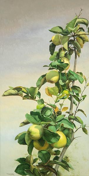 FRANCISCO SEBASTIAN NICOLAU - Membrillos y cielo gris