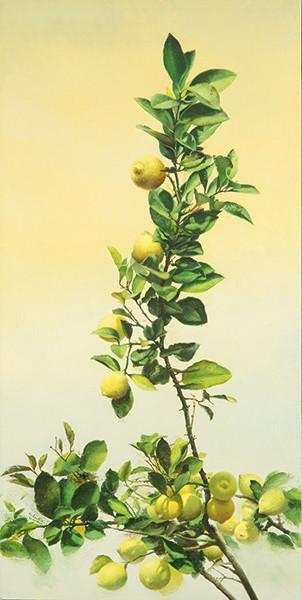 FRANCISCO SEBASTIAN NICOLAU - Limones y cielo amarillo