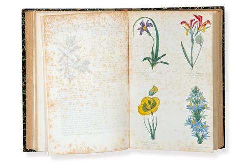 JEAN-EMMANUEL-MARIE LE MAOUT - Botanique. Organographie et Taxonomie. Histoire naturelle des familles végétales