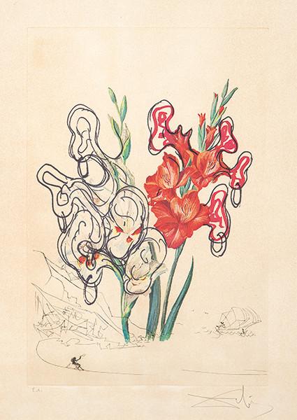 SALVADOR DALÍ - Gladiolus cum aurium corymbo expectantium (Flores Surrealistas)