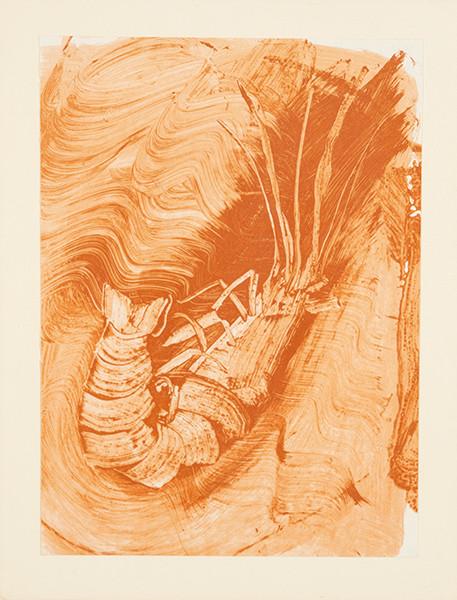 MIQUEL BARCELÓ - Langosta (Noise)