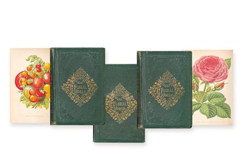 JAMES SHIRLEY HIBBERD - The Floral World and Garden Guide