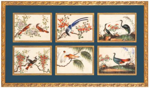 Seis papeles de arroz enmarcados, representando aves, pintados al gouache, Dinastía Qing S. XIX.