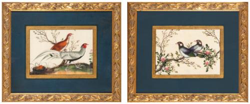 Pareja de papeles de arroz chinos con decoración de pájaros, pintados al gouache, Dinastía Qing S. XIX.