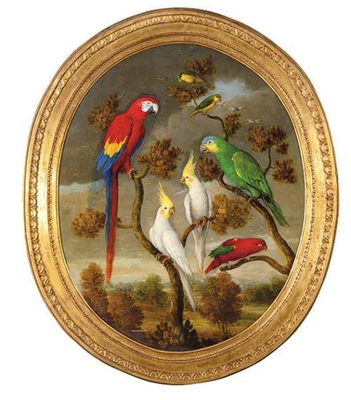  CARLOS LAHARRAGUE - Aves tropicales