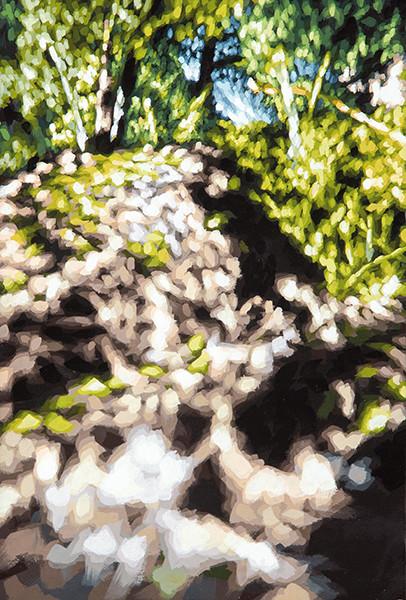 PHILIPP FRÖLICH - Sin título. 179P