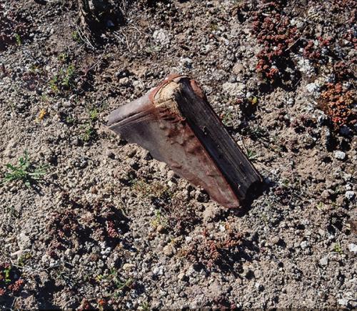 ALICIA MARTÍN - Retrato