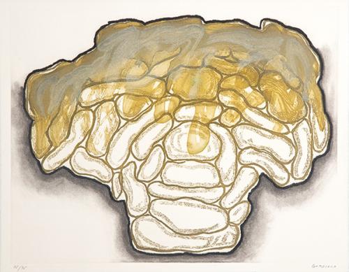 LUIS GORDILLO - Frontal IV