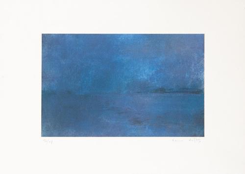 CARMEN LAFFÓN - Visión de un Paisaje