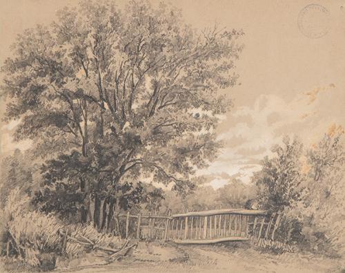 FRANCISCO PRADILLA - La cancela