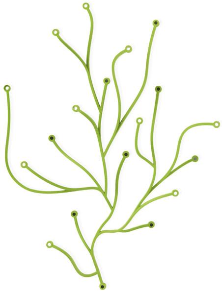 Ronan & Erwan Bouroullec (Quimper, 1971/1976– ) para Vitra, 2004