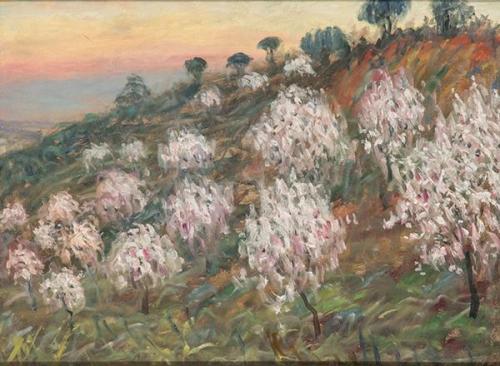  TRINIDAD TORNÉ PUJOL - Campo de almendros