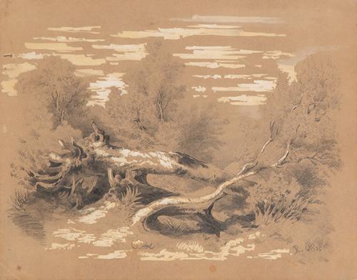 ROSARIO WEISS - Paisaje