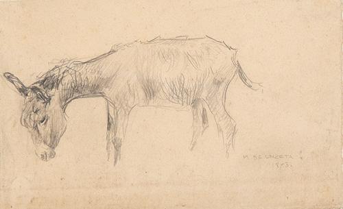 MARCELINO UNCETA Y LÓPEZ - Burro