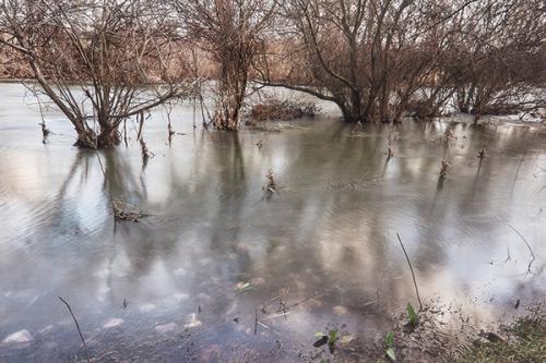 PILAR PEQUEÑO - Jarama. Serie Paisajes cercanos