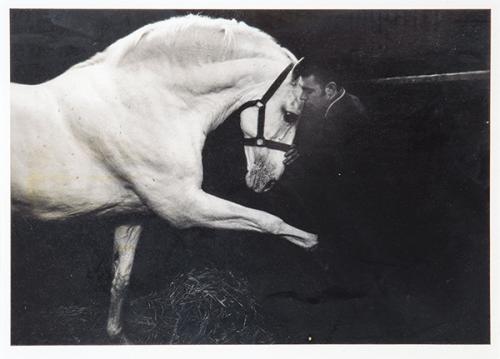 SEBASTIAO SALGADO - Serie La doma