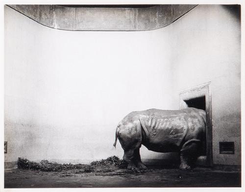 HUMBERTO RIVAS - Homenaje a Man Ray