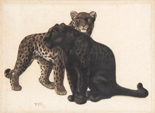 GEORGES LUCIEN GUYOT - Panteras