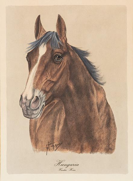 ESCUELA INGLESA S. XIX - Hungaria. Hunter Horse