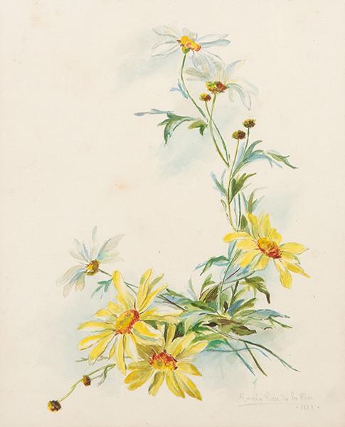 MARÍA LUISA DE LA RIVA Y CALLOL DE MUÑOZ - Flores