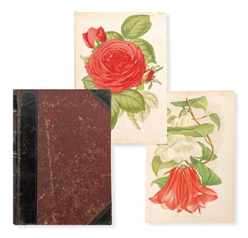 ROBERT THOMPSON - The Gardener's Assistant