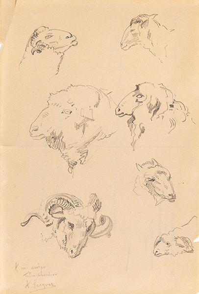  ALEJANDRO SEIQUER - Estudio de carnero