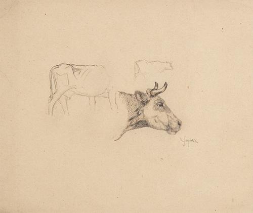  ALEJANDRO SEIQUER - Apunte de vacas