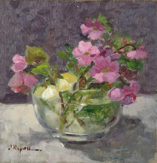  JOSEFINA RIPOLL - Violetas