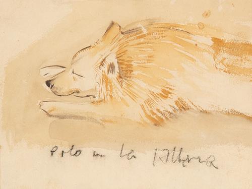 JUAN BONAFÉ - Polo en la Alberca