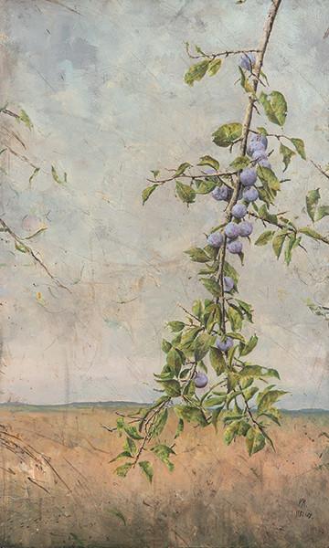 PEDRO MORENO MEYERHOFF - Rama de ciruelo