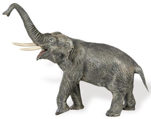  Franz Xavier Bergmann (Austria 1861-1936)