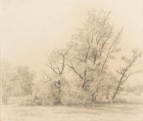  ESCUELA NEERLANDESA S. XIX - Paisaje