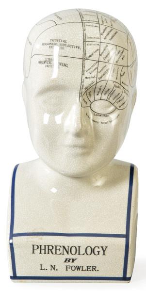  Busto de frenología en loza esmaltada en blanco modelo de Lorenzo Niles Fowler (1811-1896).S. XX