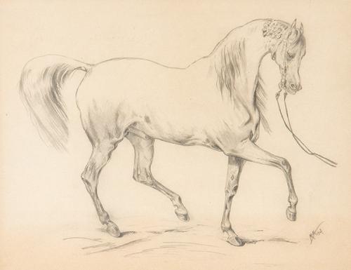 ESCUELA EUROPEA S. XIX - Estudio de caballo