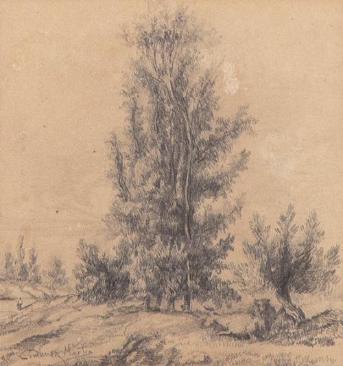  JUAN JIMENEZ MARTIN - Bosque