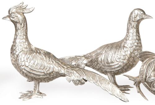 Pareja de faisanes
