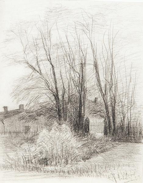  MANUEL RAMOS ARTAL - Bosque