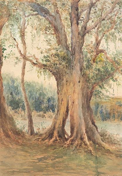  EDUARDO MORENO ESTELLER - Paisaje